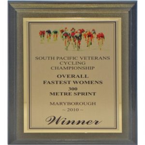 Timber Shield