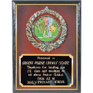 Plaque