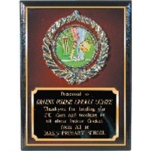 Plaques