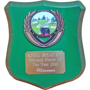 Timber Shield