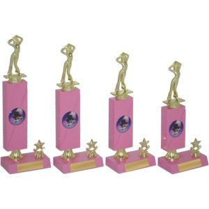 Timber Trophy-T5010-18cm
