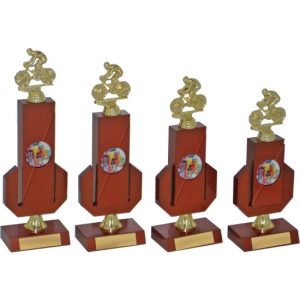 Timber Trophy-T5011-20cm