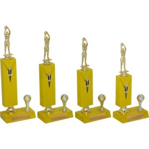Timber Trophy-T5013-18cm