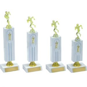 Timber Trophy-T5017-18cm