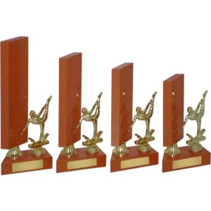 Timber Trophy-T5021-24cm