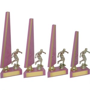 Timber Trophy-T5022-27cm