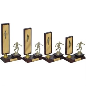 Timber Trophy-T5026-21cm