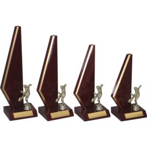 Timber Trophy-T5028-26cm