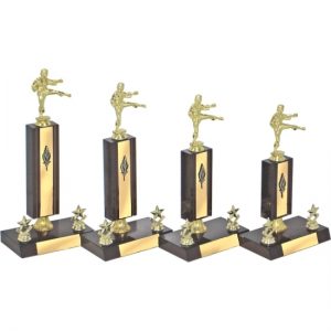 Timber Trophy-T5031-18cm