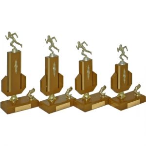 Timber Trophy-T5036-20cm