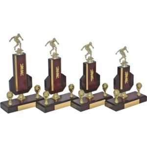 Timber Trophy-T5037-20cm