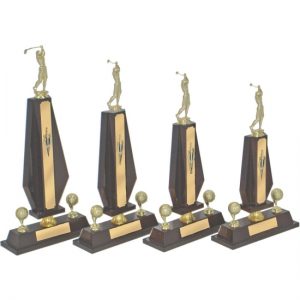 Timber Trophy-T5040-28cm