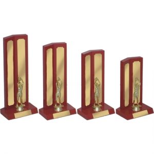 Timber Trophy-T5048-22cm