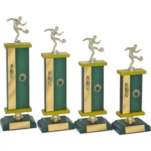 Timber Trophy-T5053-25cm