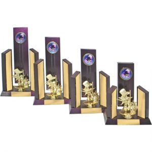 Timber Trophy-T5057-28cm