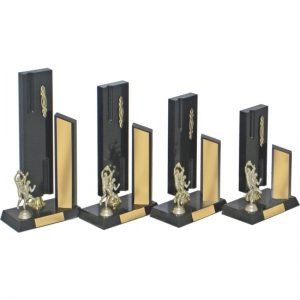 Timber Trophy-T5058-28cm