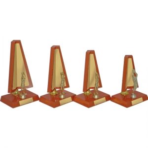 Timber Trophy-T5068-23cm
