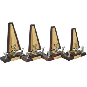Timber Trophy-T5069-30cm