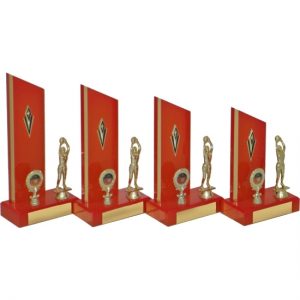 Timber Trophy-T5073-24cm