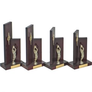 Timber Trophy-T5075-28cm