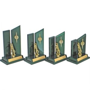 Timber Trophy-T5091-23cm