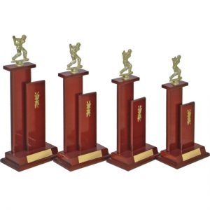 Timber Trophy-T5095-28cm