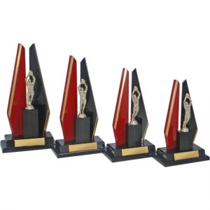 Timber Trophy-T5096-31cm