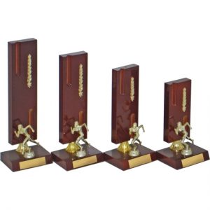Timber Trophy-T5099-23cm