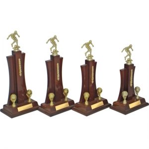 Timber Trophy-T5104-25cm