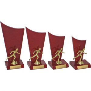 Timber Trophy-T5111-18cm