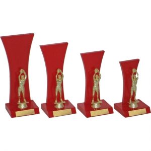 Timber Trophy-T5112-17cm