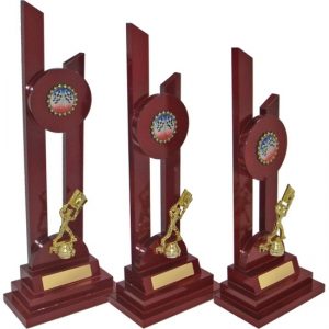 Timber Trophy-T5114-53cm