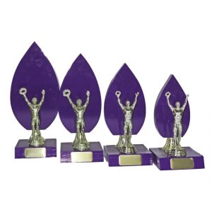 Timber Trophy T5115
