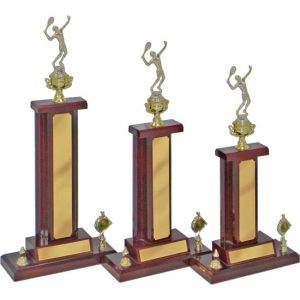 Perpetual Trophy-T6001-29cm