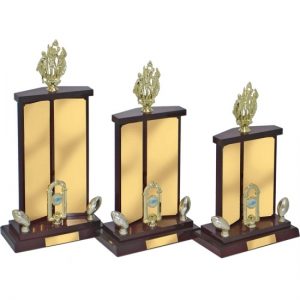 Perpetual Trophy-T6004-31cm