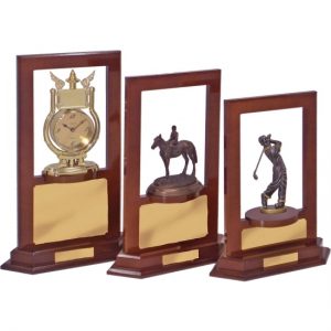 Perpetual Trophy-T6006-46cm