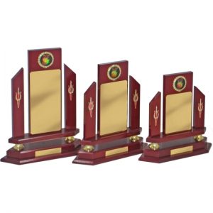 Perpetual Trophy-T6008-36cm