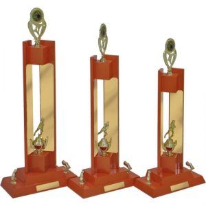 Perpetual Trophy-T6010-54cm