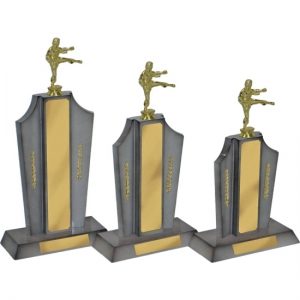 Perpetual Trophy-T6011-28cm