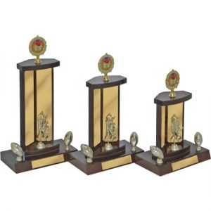Perpetual Trophy-T6012-25cm