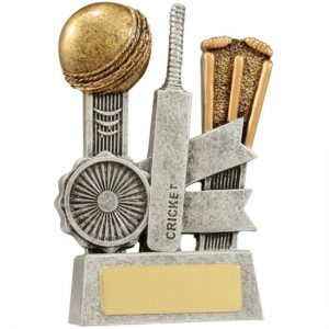 Cricket Silver Ribbon Series