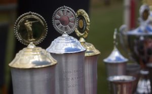 Trophy Cups