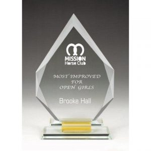 Optical Crystal Arrowhead Award on Yellow/Clear Base