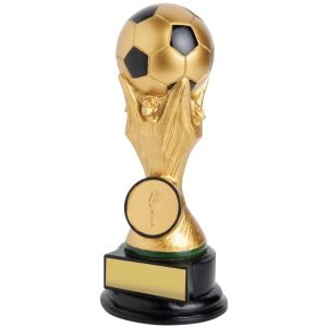 Football-Soccer Cup Victory