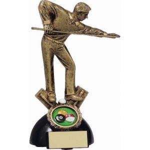 Pool Trophy Player