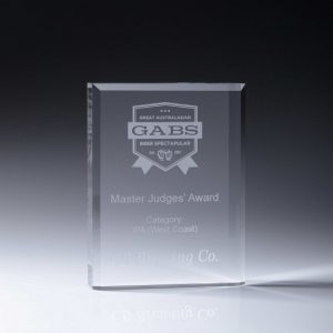 Acrylic Block with Bevelled Edge