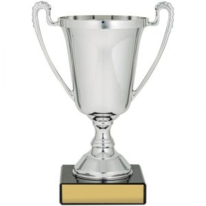 Cup The Moment