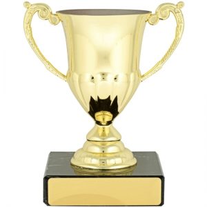 Gold Oxford Cup