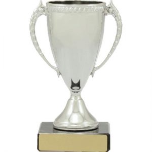 Silver Cast Cup