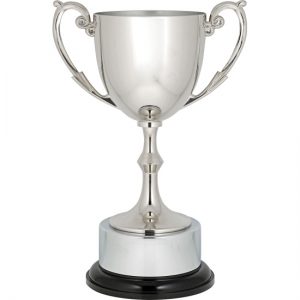 Recognition Cup